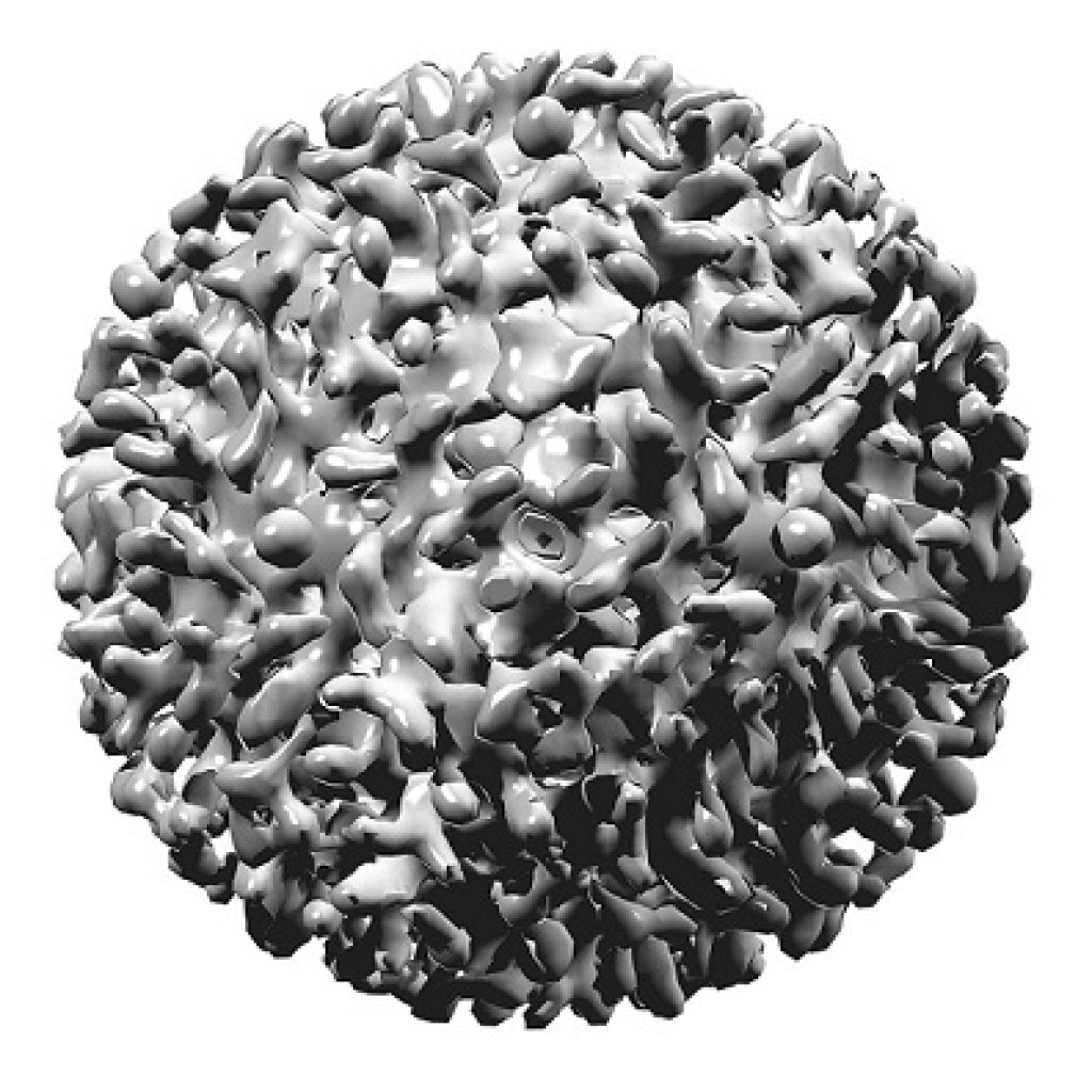 Hepatitis