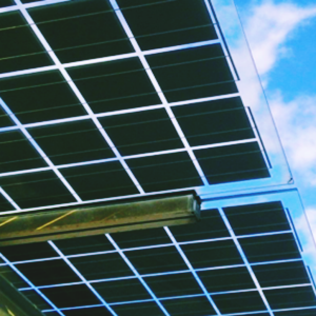 bifacial technology business